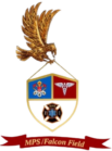 MPS – Falconfield E Serviços
